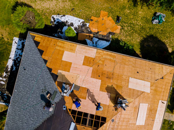 Best Roof Gutter Cleaning  in Stanwood, WA